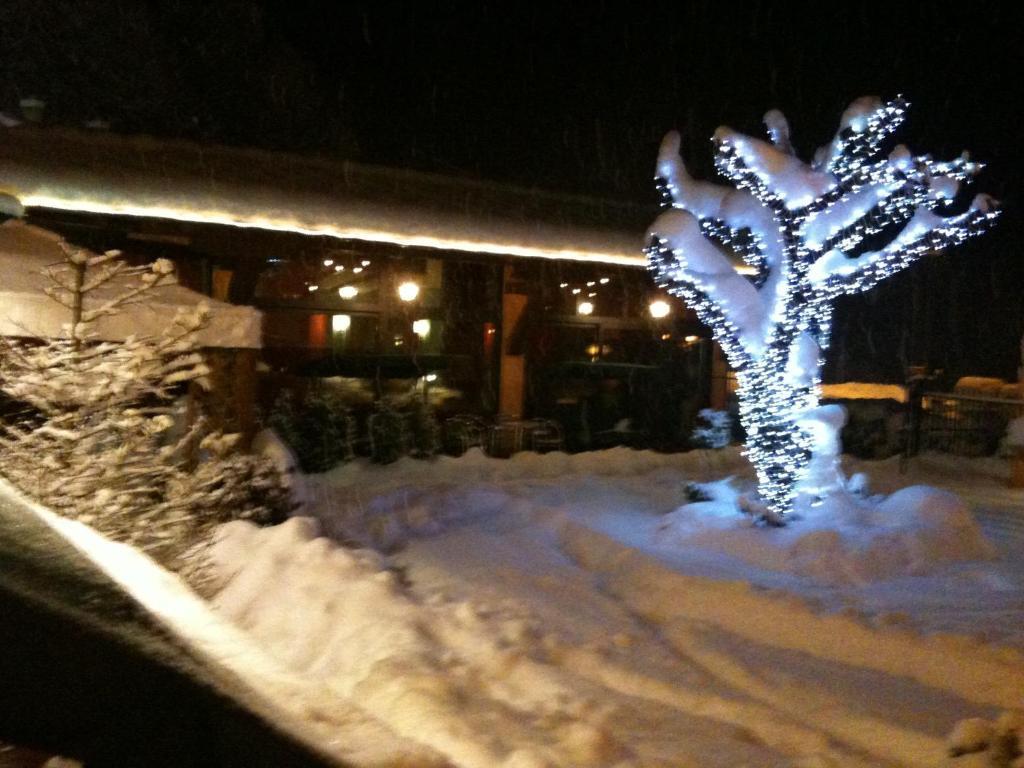 Hotel Lion Roure Turin Exterior foto